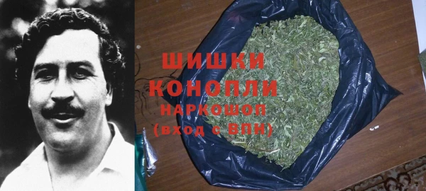трава Белокуриха