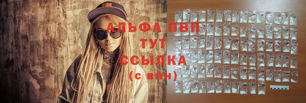 трава Белокуриха