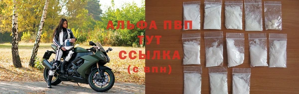 трава Белокуриха