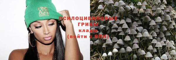 гашик Беломорск
