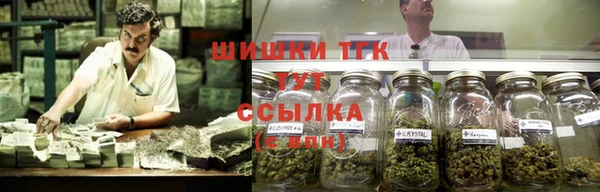 гашик Беломорск
